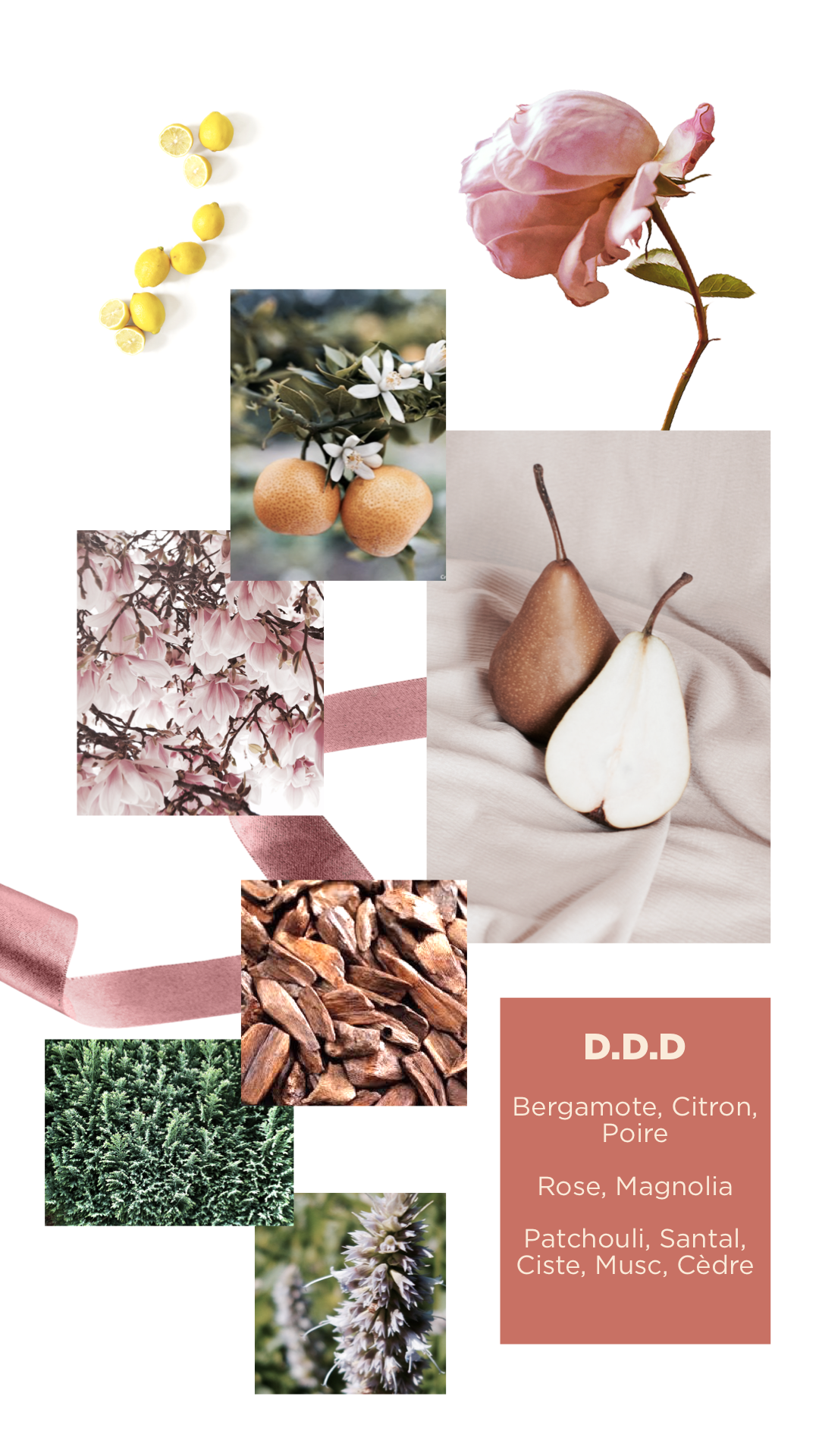 D.D.D