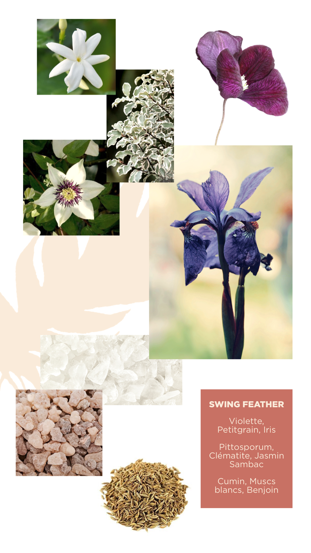 Swing Feather